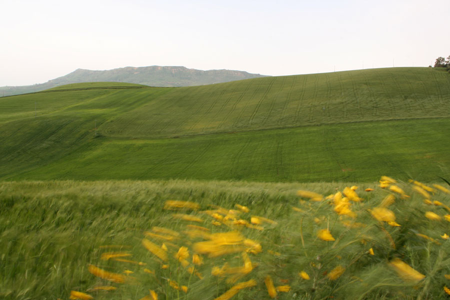 Gironzolando per le sicule terre. La valle del Torto